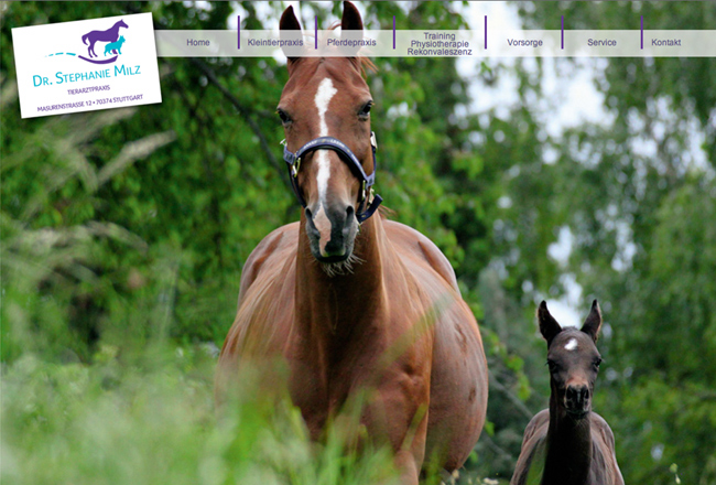 Bildschirmaufnahme einer Seite der Website Tierarztpraxis Milz, die von uns realisiert wrude
